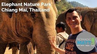 Elephant Nature Park, Chiang Mai Thailand