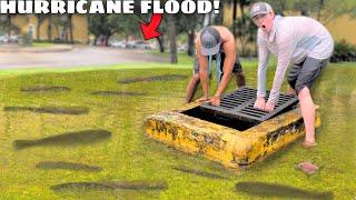 Saving Fish from HURRICANE FLOOD!