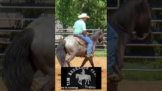 Rein and leg use
