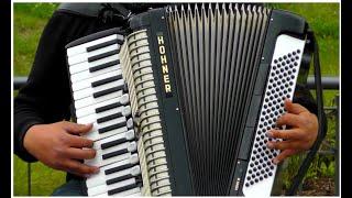 Accordion In Music Instrumental | #accordion #accordionmusic #accordioneasylistening