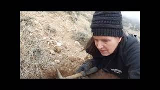 Found Quartz Crystals In The West Desert Pt. 2