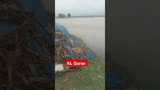 #quran #ki #tarjuma #shorts #vireal #video #short #im blogs
