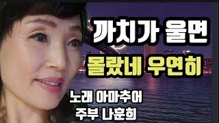 까치가 울면 /원곡가수 나훈아/ 몰랐네 /우연히/ 원곡우연이 /노래 아마추어 주부 나훈희 미스트롯 뽕짝 발라드 성인가요 신나는 트로트 스테레오 싸운드 트랙 뮤직비디오 뮤직뱅크