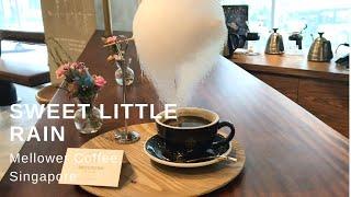 Sweet Little Rain | MELLOWER COFFEE, SINGAPORE