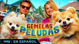 GEMELAS PELUDAS | PELICULA EXCLUSIVA FAMILIA | PELICULA EN ESPANOL LATINO