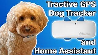 Tractive GPS Dog Tracker and Home Assistant