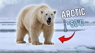 How Polar Bears Survive the Extreme Arctic?‼️3 Minute Facts!