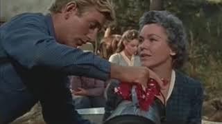 oeste Legado Salvaje Wild Heritage Western 1958 di Charles Haas con Maureen O' Sullivan Will Rogers