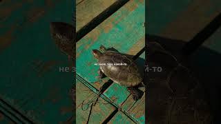 Кто я такой на самом деле? - Василий Тушкин