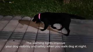 Masbrill Detachable Lighted Strip LED Dog Collar-Two ways to use