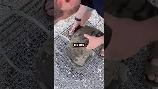  Фонтан мечты без опыта и лишних трат! Смотреть всем #ландшафтныйдизайн #дом #дача #цветы #фонтан