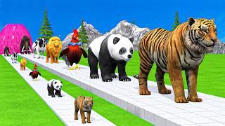 Paint & Animals Duck,Gorilla,Lion,Elephant,Cow,Sheep Fountain Crossing Transformation Animal Cartoon