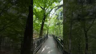 주주힝_걷자 Older_사샤 슬론 일이 많이 있지만 잠깐이라도 다녀와야지 #music #newmusic #둘레길 #nature #서울 #숲 #travel #가자 #같이걷자