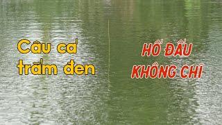 Kỹ Thuật Câu Cá Trắm Đen Hố Đấu Không Chì | Chung Nguyễn Fishing