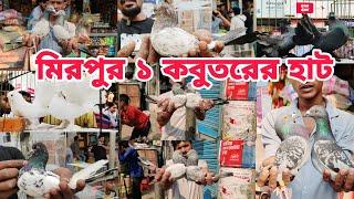 kobutor hat। মিরপুর-১ কবুতরের হাটে। রেসার কবুতর, গিরিবাজ কবুতর, Mirpur 1 pigpen market