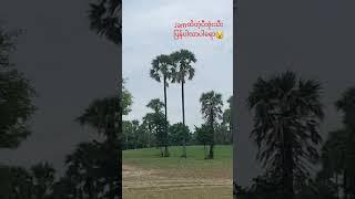 Jammerထိပီး ဗုံးသီးပြန်ပါလာတဲ့အခါ အရေးပေါ်လုပ်လိုက်ရတယ်။  #drone #myanmar #pdf