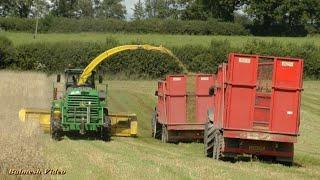 Whole Crop Silage with John Deere.