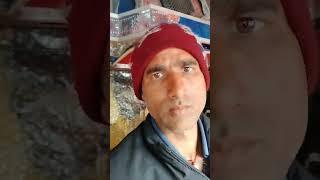 Old songs  #love #bollywood #song #hindi #music #ballads1 #bhojpuri #funny