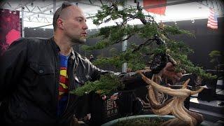 Mauro Stemberger styles a Juniper Bonsai at BWB