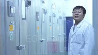 EGP nicotine pouch factory