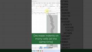 Decrease the indents on multiple cells at the same time in Excel