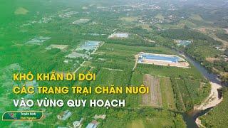 Khó khăn di dời các trang trại chăn nuôi vào vùng quy hoạch  - Hộp thư truyền hình| Thái Nguyên TV