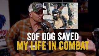 Green Beret Mike Glover: That Time a Working Dog Saved My Life