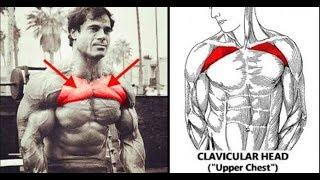 16تمرين تضخيم منطقة العلوية لصدر وحل نهائي لهذه مشكلة - Upper chest