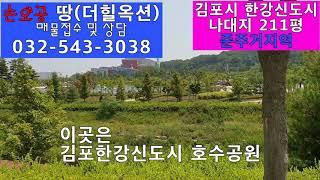 [한강신도시 준주거지역 나대지 211평 매매]