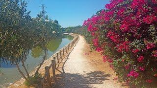 Donde estoy estudiando | Parque de Miraflores | Sevilla (90 hectáreas)