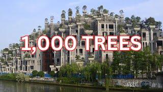 1000 trees / M50 Creative space art district walking tour shoot with Dji Osmo pocket 3
