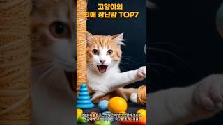 고양이가 좋아하는 장난감 TOP7