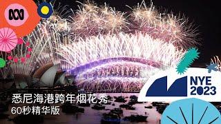 60秒精华片段：2023-24澳洲悉尼海港歌剧院跨年烟花秀丨ABC中文