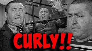 The THREE STOOGES Film Festival - Over THREE HOURS of CURLY!!