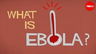 What we know (and don't know) about Ebola - Alex Gendler