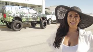 Hemp World CBD + CBG Store - Video by Jasmin Cadavid