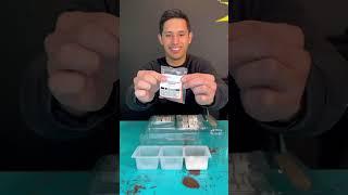 How to grow your own CRYSTALS! #crystals #toyreview