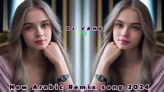 DJ VAHE - Ay ay ay | New Arabic Remix song 2024