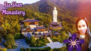 Tsz Shan Monastery! || Lets go walk a little bit around |||| #Monastery || #Buddhism |