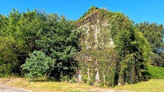 Nature Reclaiming Buildings & Homes in Cairo, Illinois