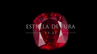 The Journey of Estrela de Fura-Part 1