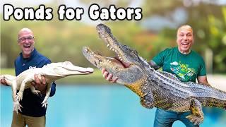 2 Gator Pond Projects with ​@BrianBarczyk | Compilation Vlogs
