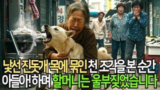 국밥집 문 앞에 나타난 낯선 진돗개… 목에 묶인 편지에서 드러난 충격적인 진실, "아들아!" 할머니는 울부짖었습니다