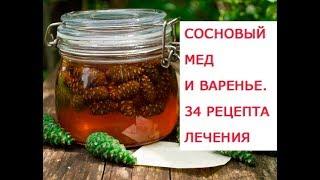 Целебные свойства зеленых шишек сосны, когда и как собирать  Сосновый мед и лечебное сосновое