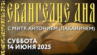 Толкование Евангелия с митрополитом Антонием (Паканичем). Суббота, 14 июня 2025 года.