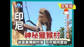 【印尼】弗洛勒斯島 神秘獵猴村（峇里島捕蟲達人／蜻蜓蛋餅／煙燻巨大蜂巢／道地補陽水果酒）｜《世界第一等》262集小馬完整版