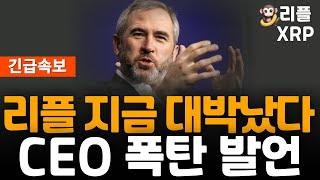 ※긴급속보※ 리플 XRP CEO 폭탄발언!