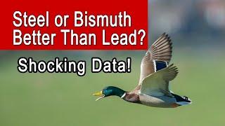 Steel vs. Bismuth vs. Lead | Shocking Waterfowl Ammo Ballistics Data