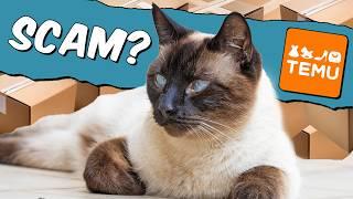 I Spent 2 Weeks Testing TEMU Cat Toys on My Siamese Cat!