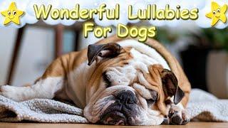 Relaxing Sleep Music For Dogs  Calm Your Dog Instantly  Music Helps Reduce Stress